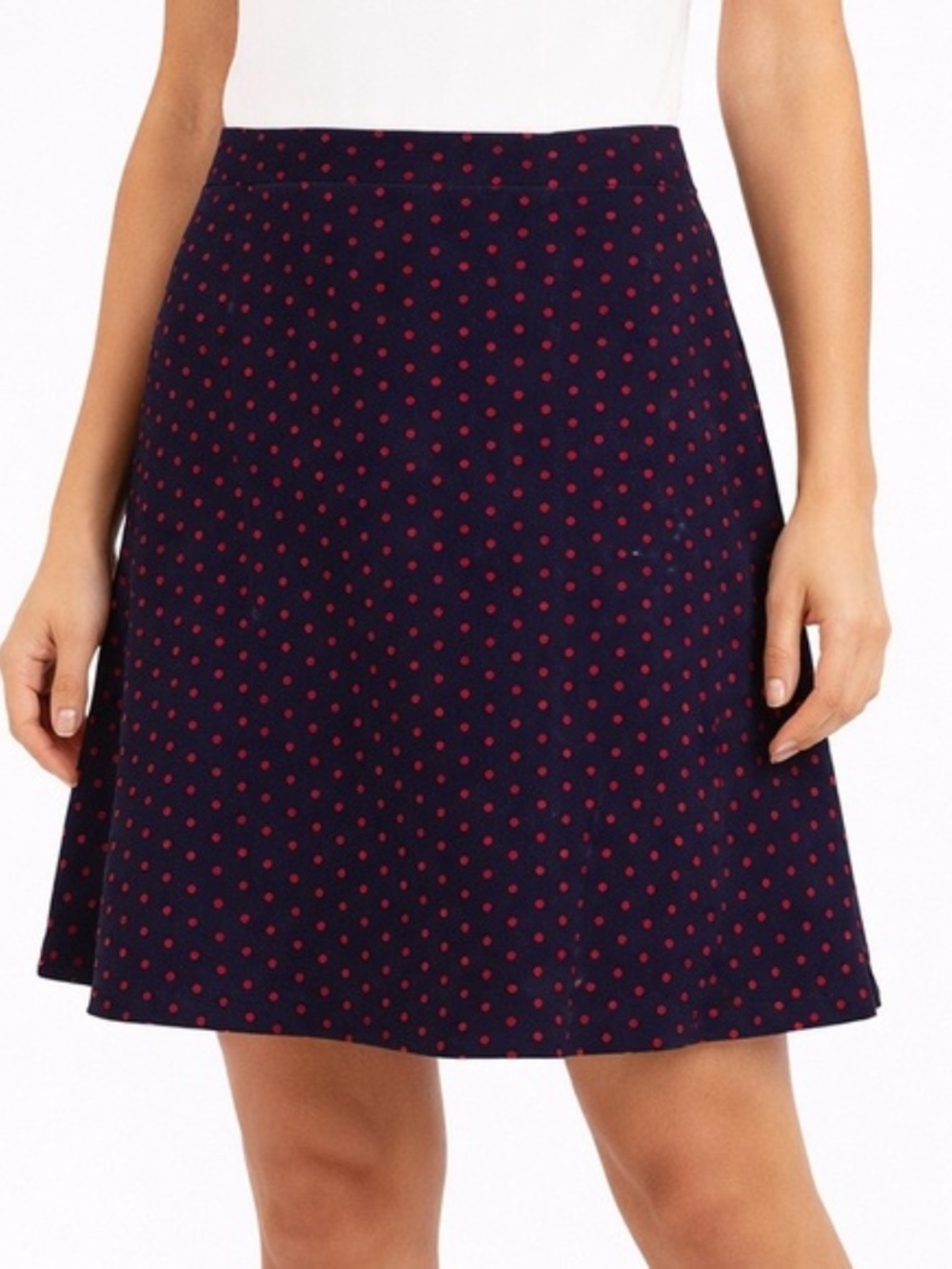 The Limited Navy Blue Red Polka Dot A-Line Skirt | Size Small